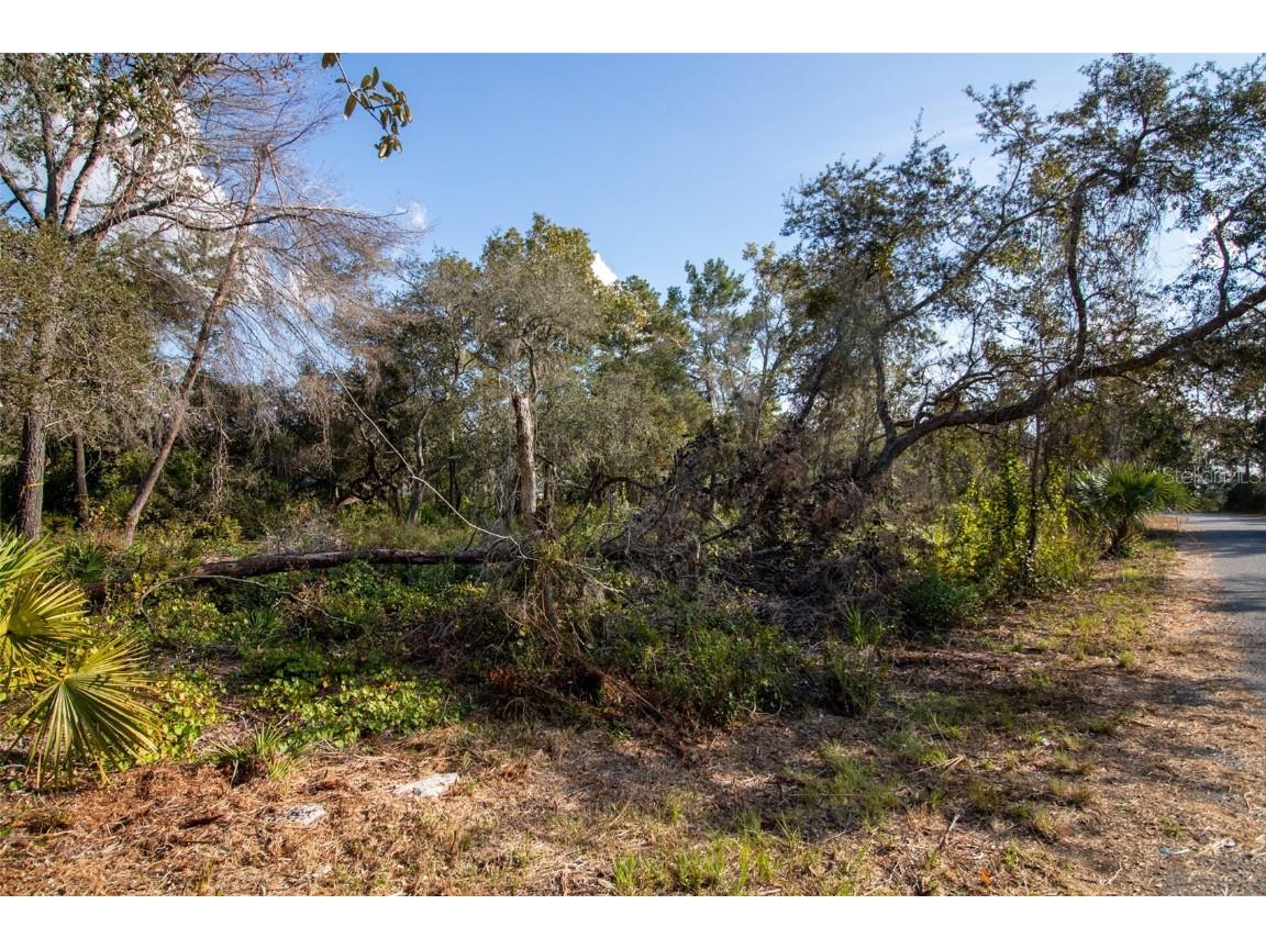 605 Lake Butler Avenue Osteen FL 32764 V4945907 image15