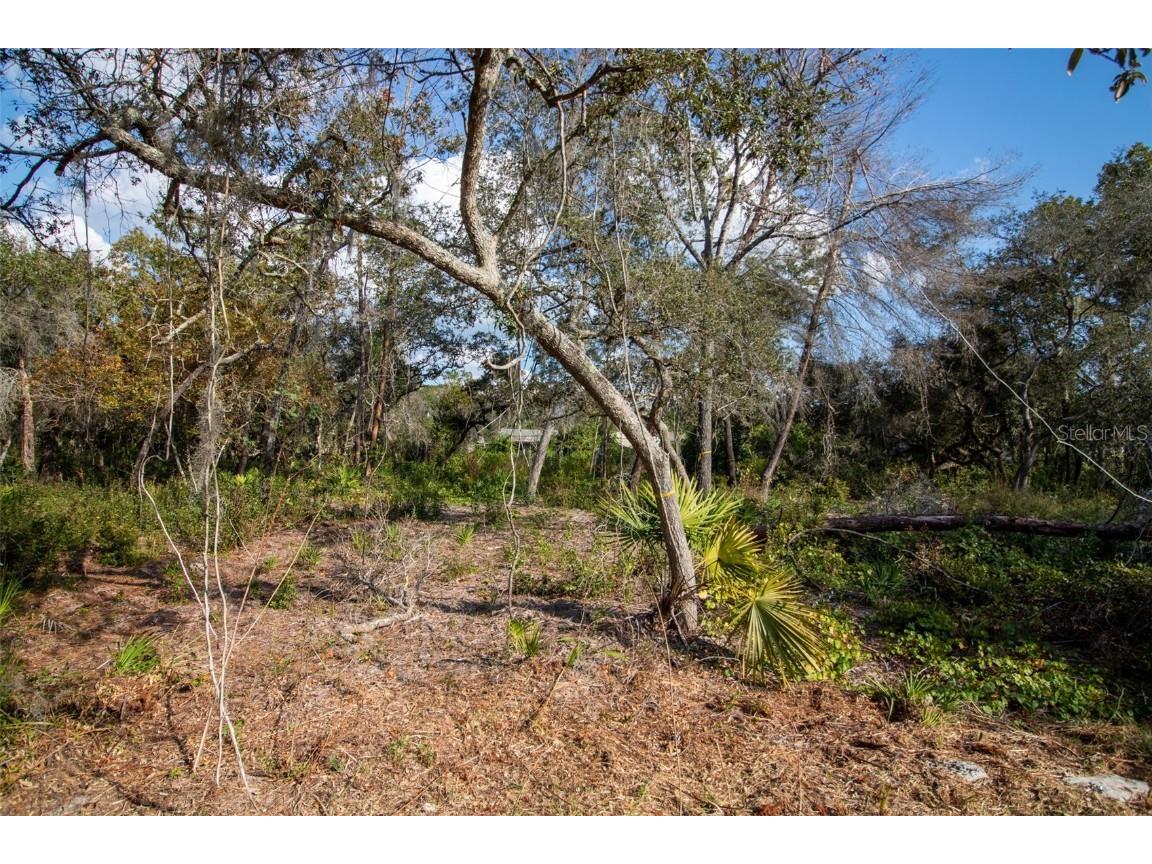 605 Lake Butler Avenue Osteen FL 32764 V4945907 image16