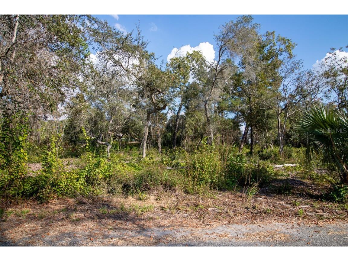 605 Lake Butler Avenue Osteen FL 32764 V4945907 image17