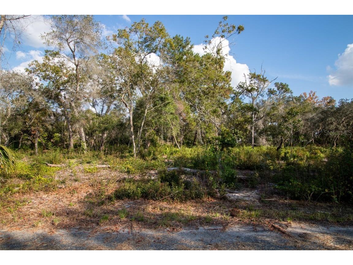 605 Lake Butler Avenue Osteen FL 32764 V4945907 image18