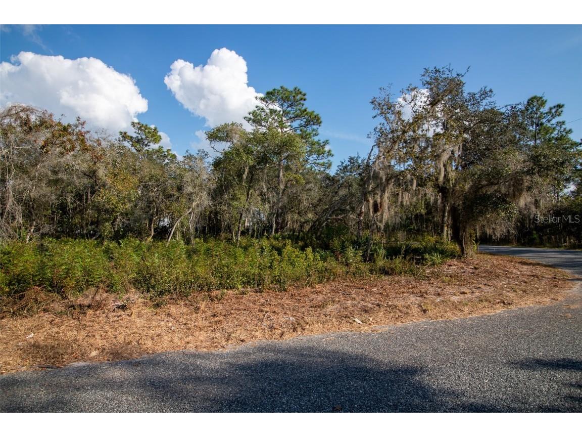 605 Lake Butler Avenue Osteen FL 32764 V4945907 image19