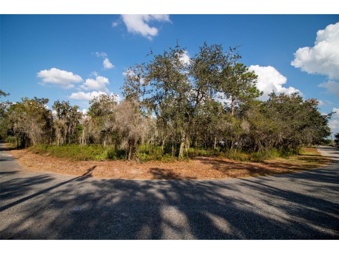 605 Lake Butler Avenue Osteen FL 32764 V4945907 image20