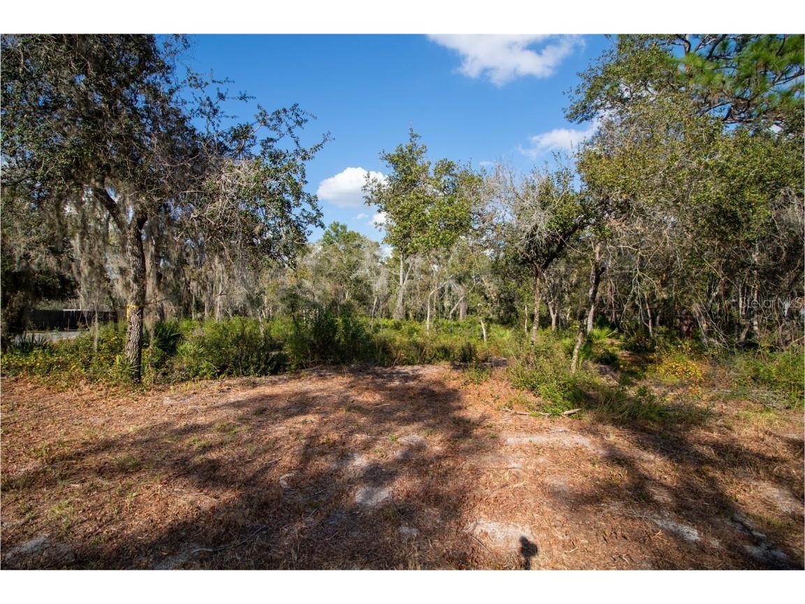 605 Lake Butler Avenue Osteen FL 32764 V4945907 image21