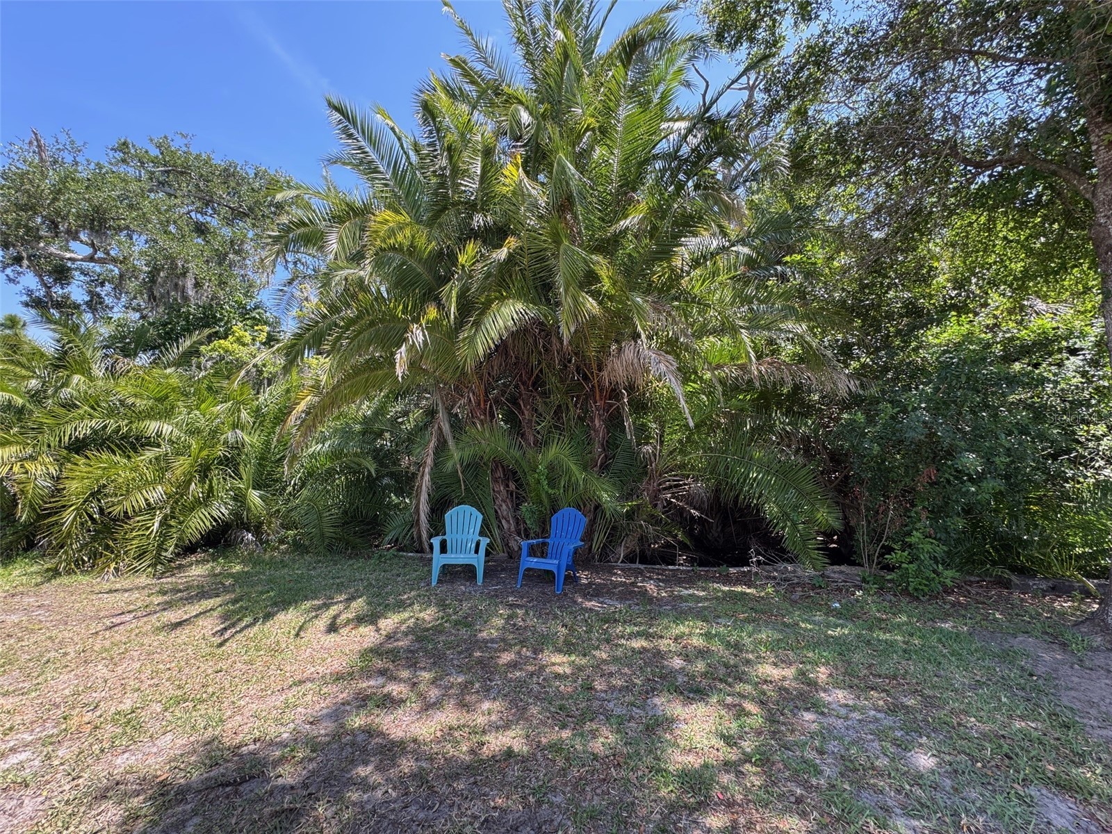 605 Michigan Boulevard #122 Dunedin FL 34698 - Cedar Creek TB8501283 image36