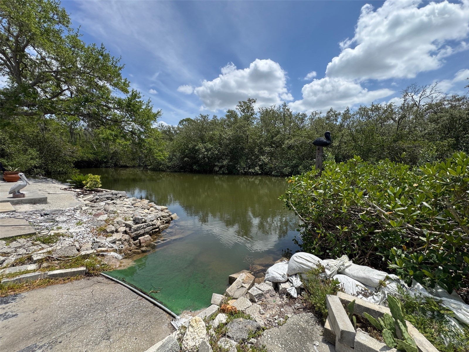 605 Michigan Boulevard #122 Dunedin FL 34698 - Cedar Creek TB8501283 image41