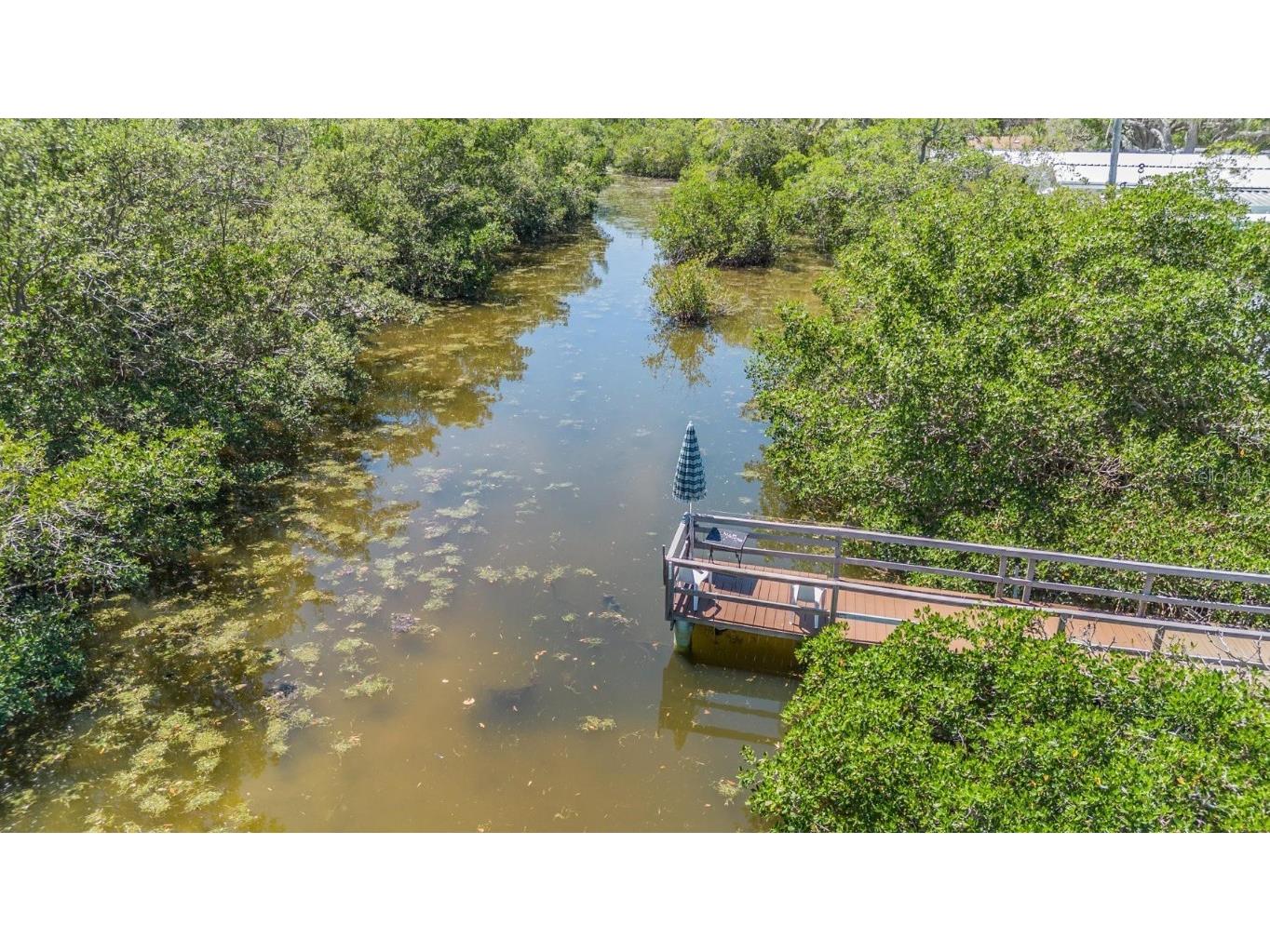 605 Michigan Boulevard #55 Dunedin FL 34698 - Cedar Creek TB8384977 image20