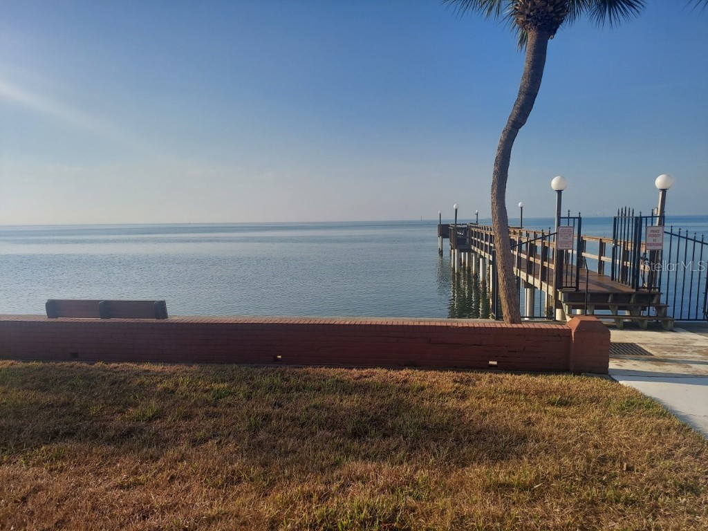 605 Pinellas Point Drive #101 Saint Petersburg FL 33705 U8196038 image1