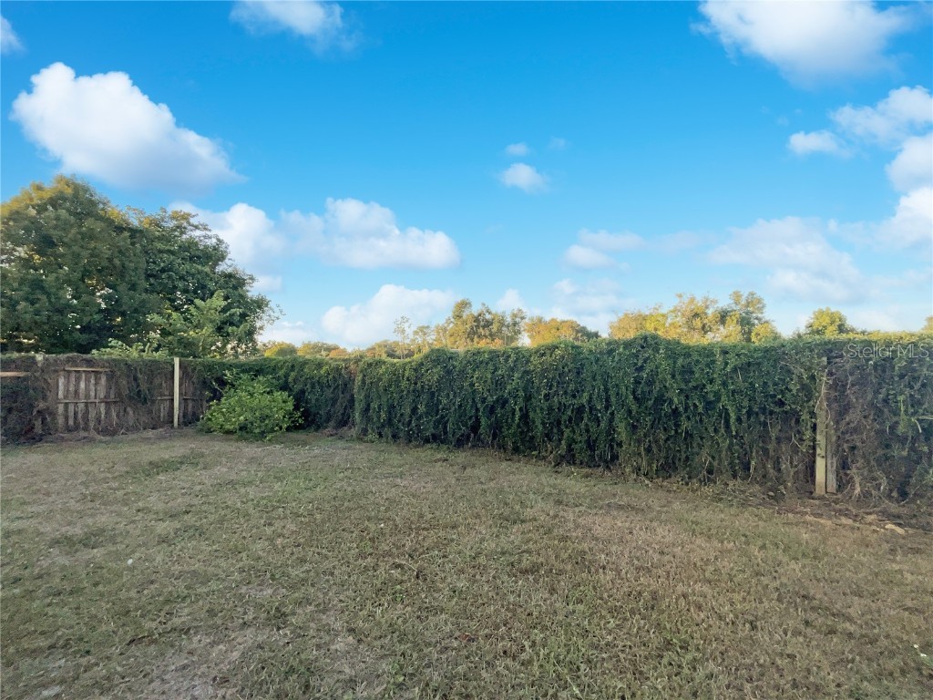 605 Sand Ridge Drive Valrico FL 33594 O6365258 image25