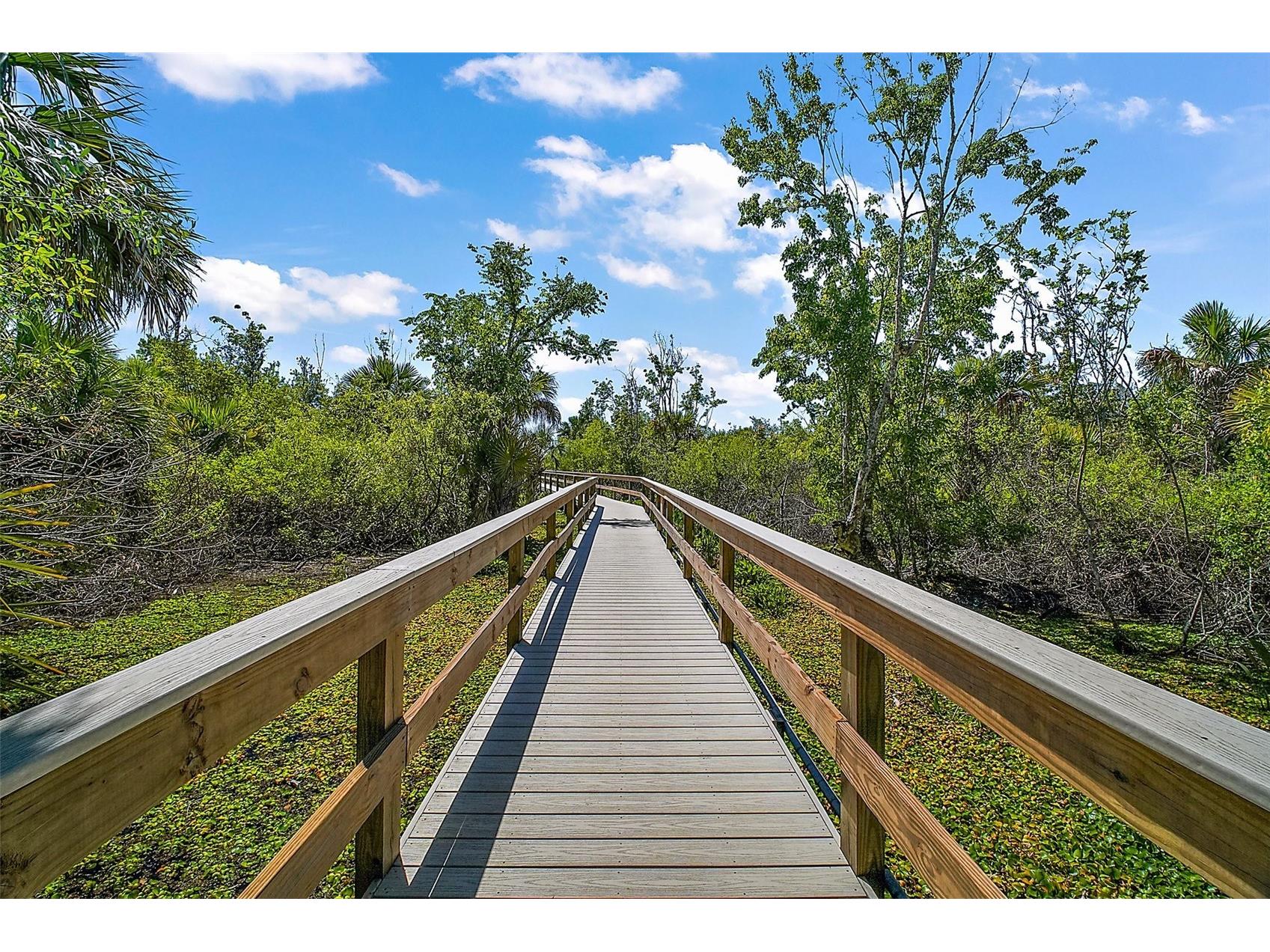 605 Sandlake Court Mount Dora FL 32757 - LAKE DORA G5111209 image52