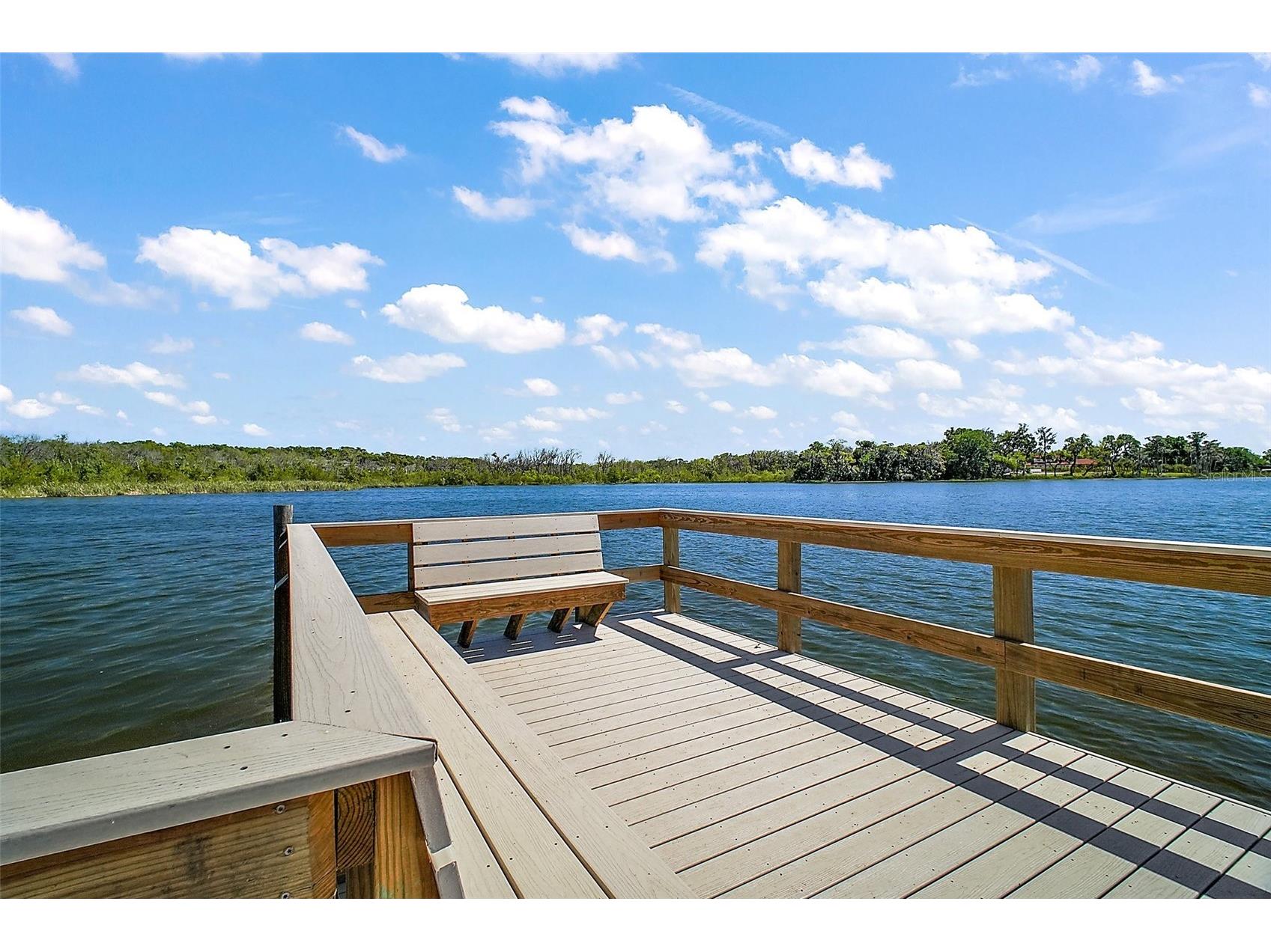 605 Sandlake Court Mount Dora FL 32757 - LAKE DORA G5111209 image55