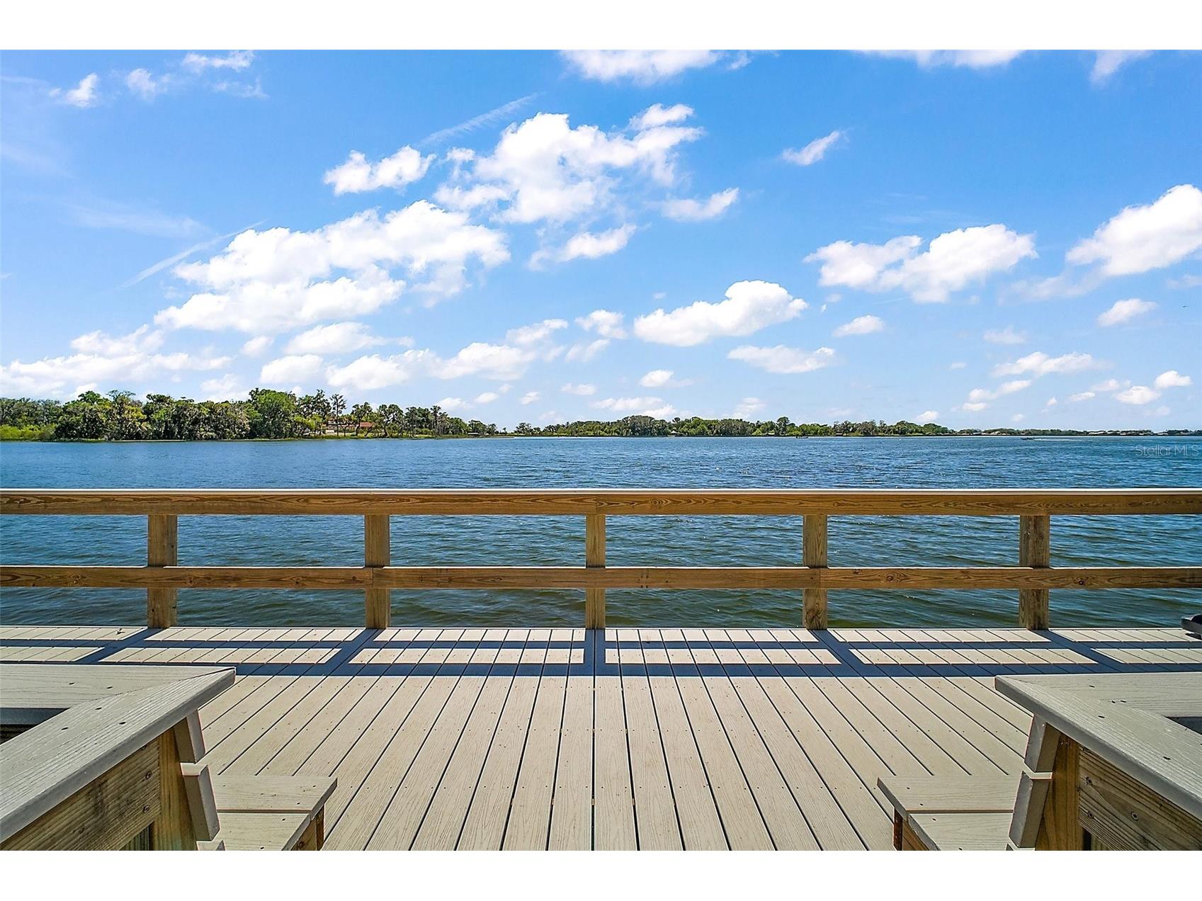 605 Sandlake Court Mount Dora FL 32757 - LAKE DORA G5111209 image56