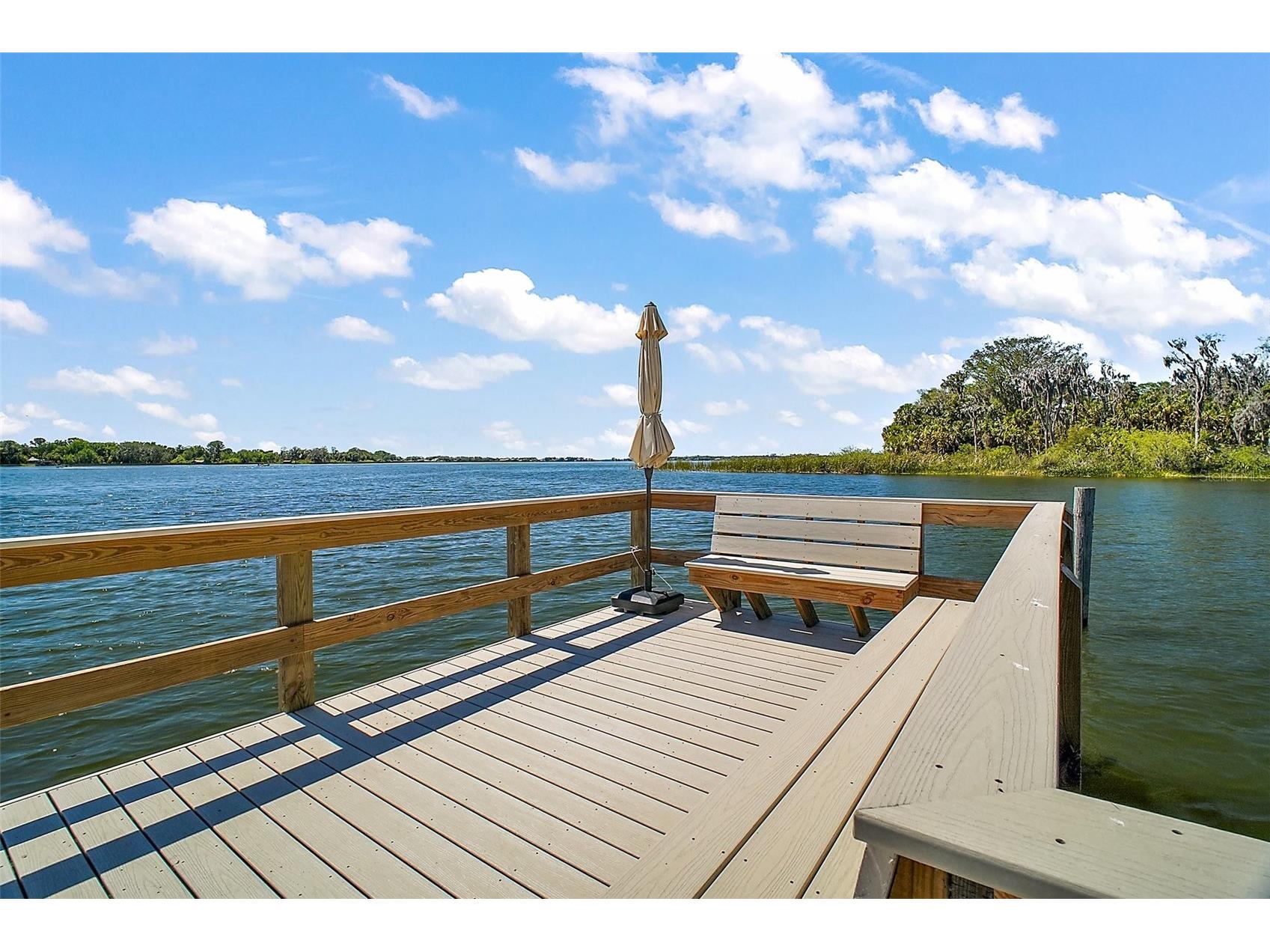 605 Sandlake Court Mount Dora FL 32757 - LAKE DORA G5111209 image57