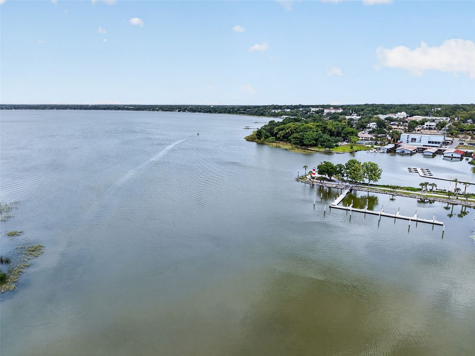 605 Sandlake Court Mount Dora FL 32757 - LAKE DORA G5111209 image62