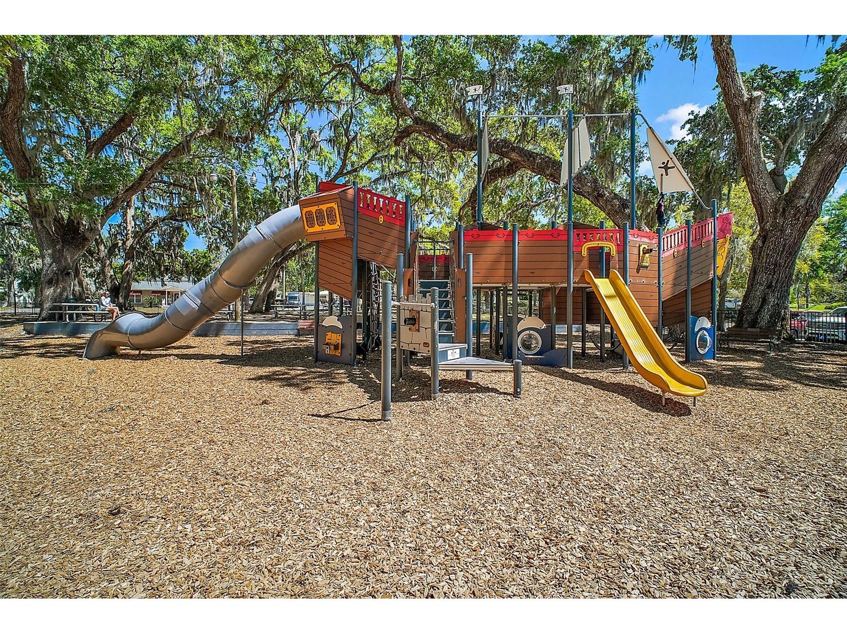 605 Sandlake Court Mount Dora FL 32757 - LAKE DORA G5111209 image72