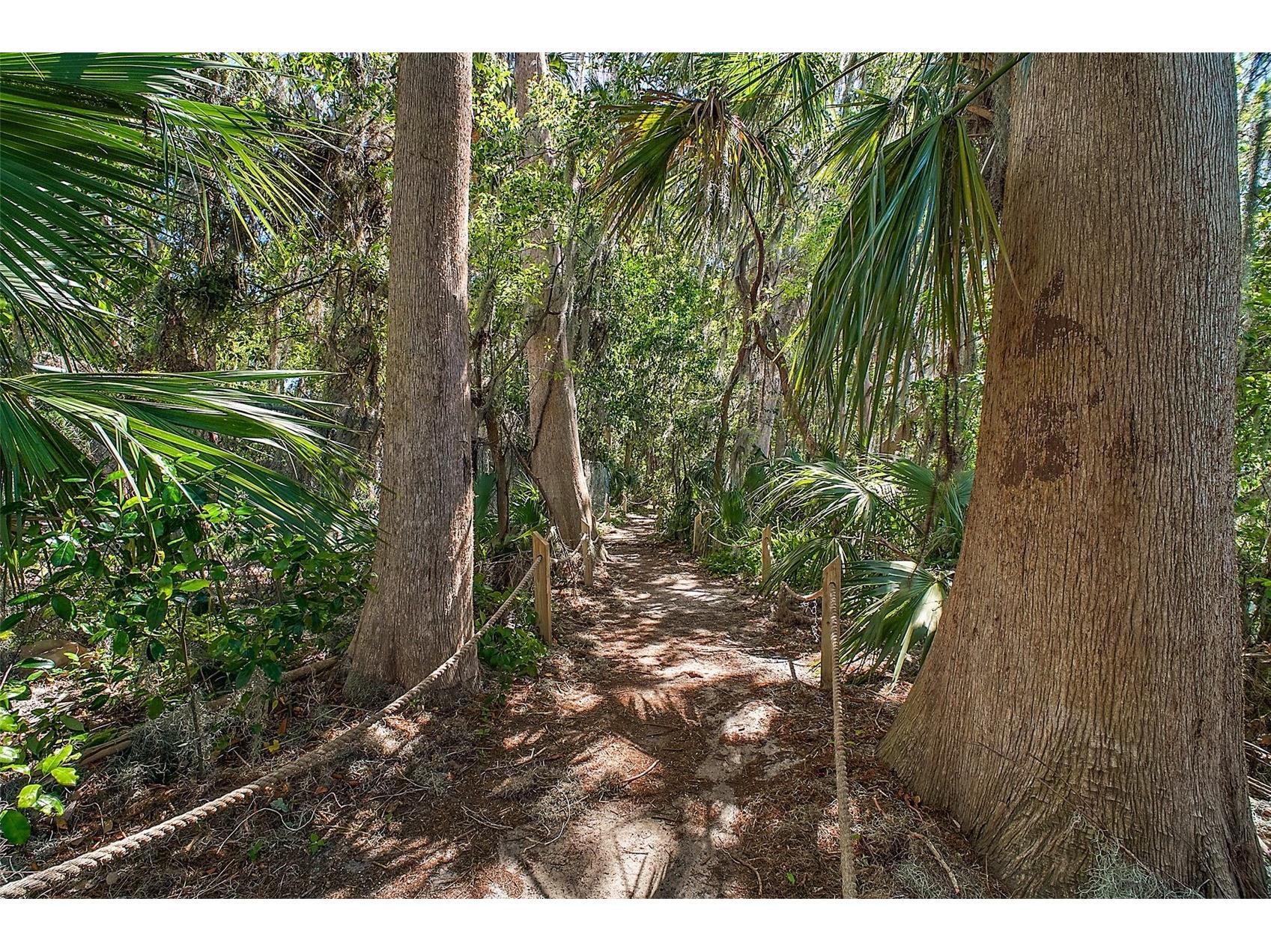 605 Sandlake Court Mount Dora FL 32757 - LAKE DORA G5111209 image77