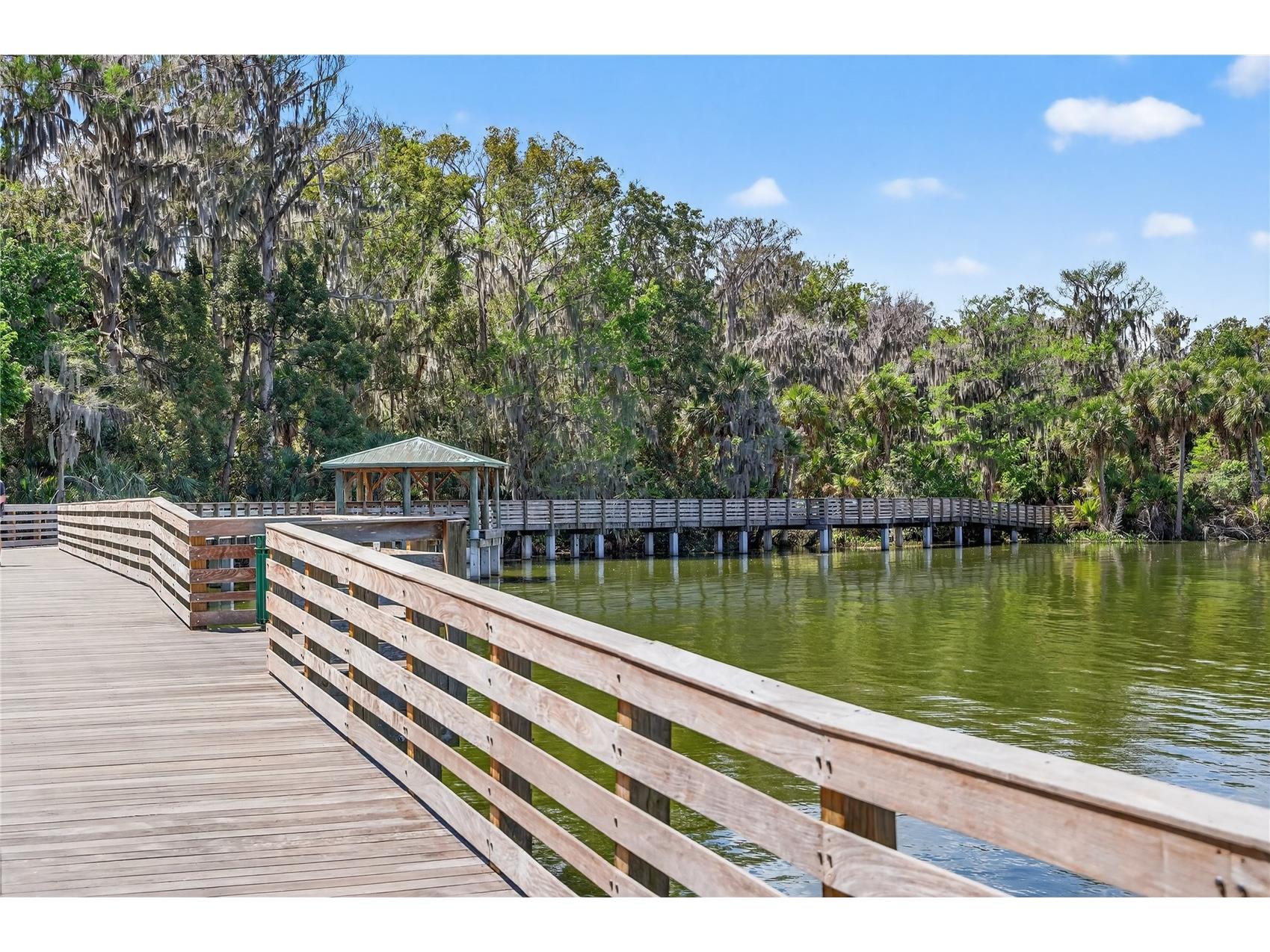 605 Sandlake Court Mount Dora FL 32757 - LAKE DORA G5111209 image78