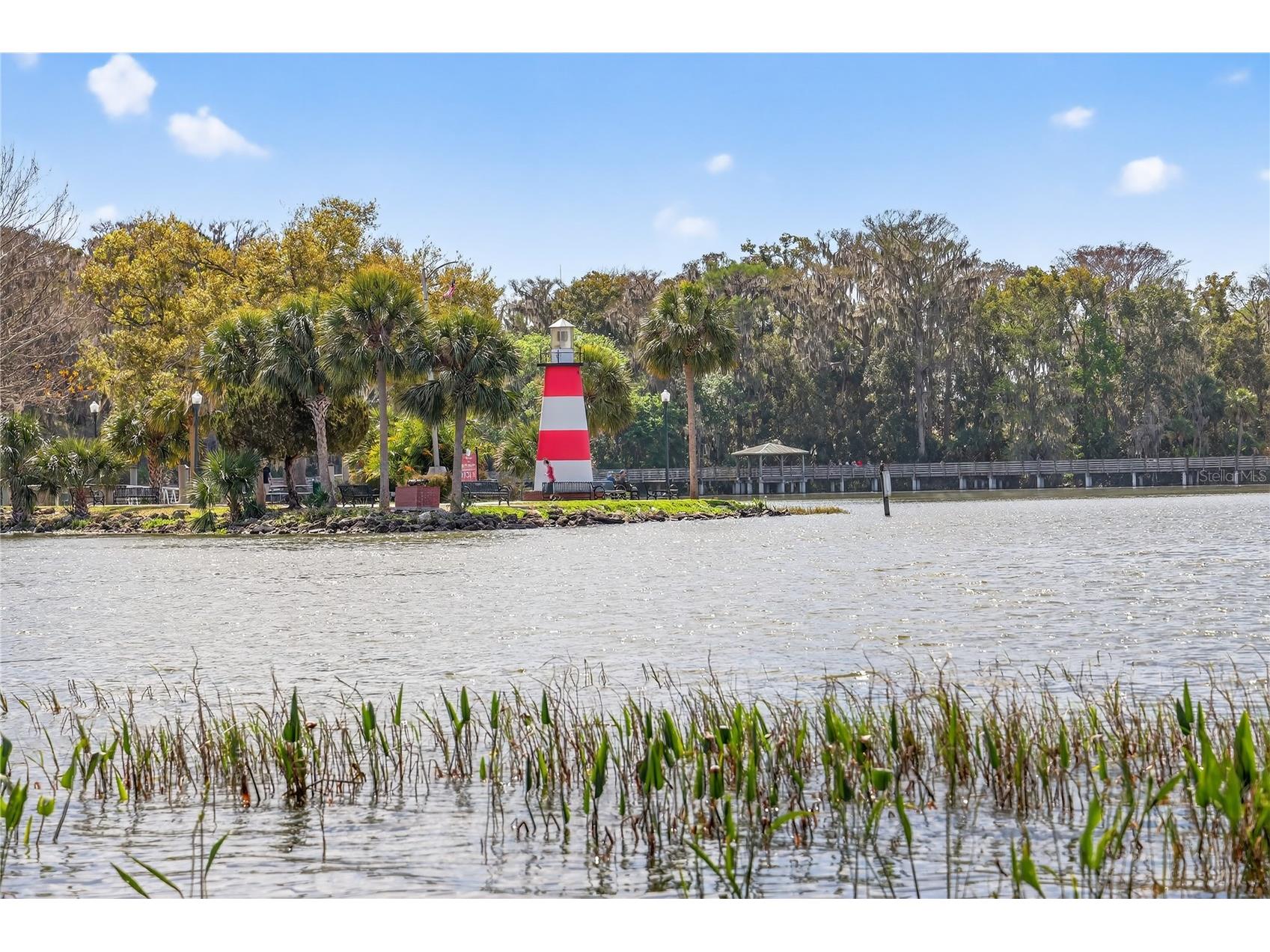 605 Sandlake Court Mount Dora FL 32757 - LAKE DORA G5111209 image80