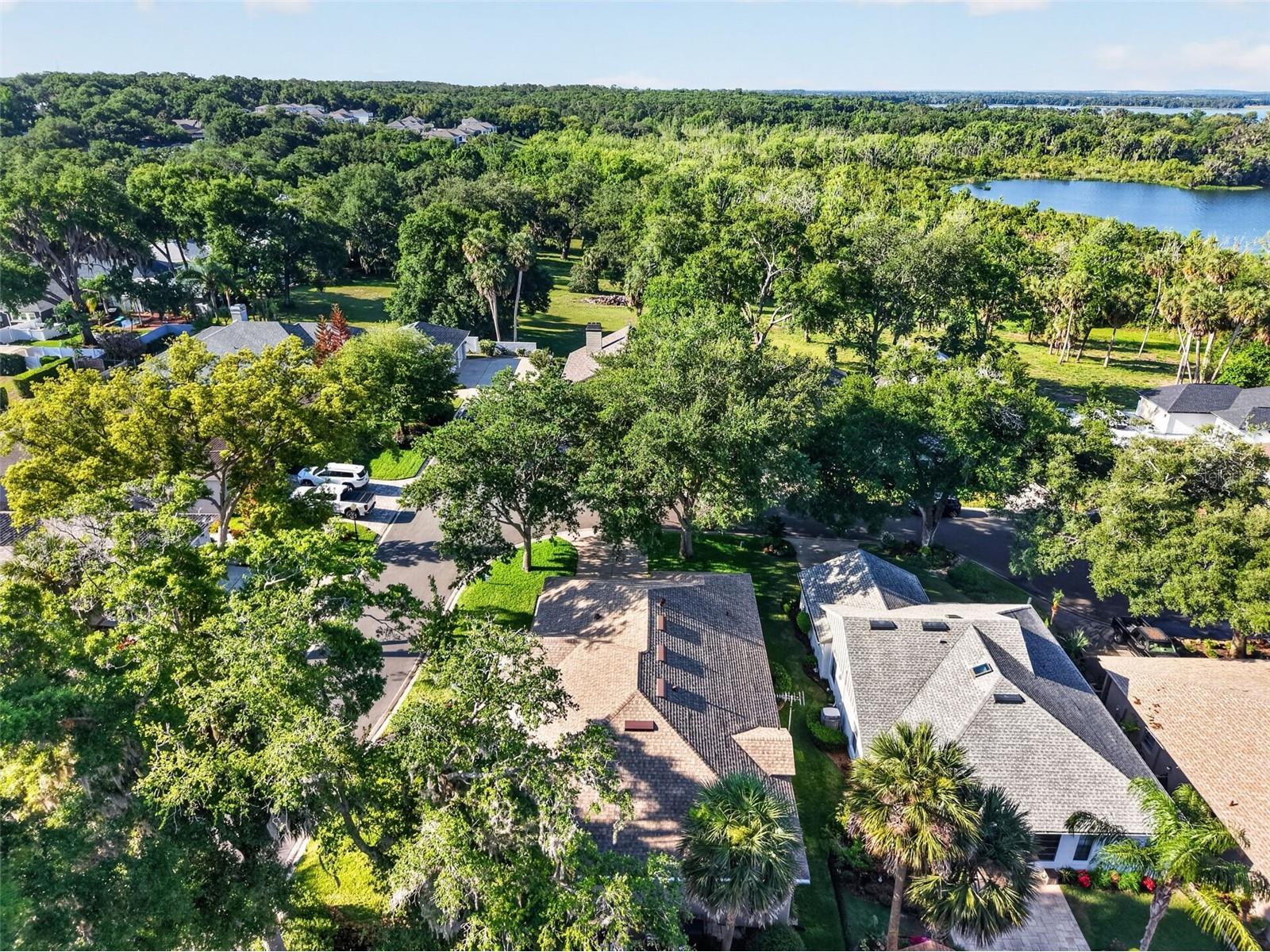 605 Sandlake Court Mount Dora FL 32757 - LAKE DORA G5111209 image96