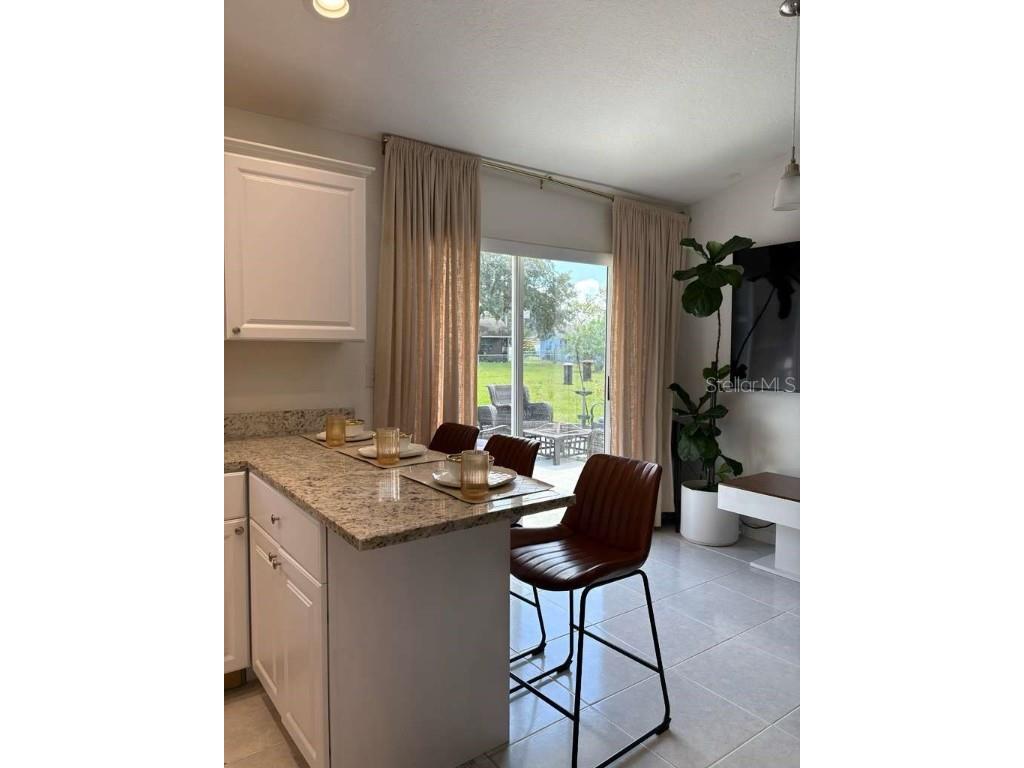 605 Tamarin Lane Kissimmee FL 34759 TB8429363 image8