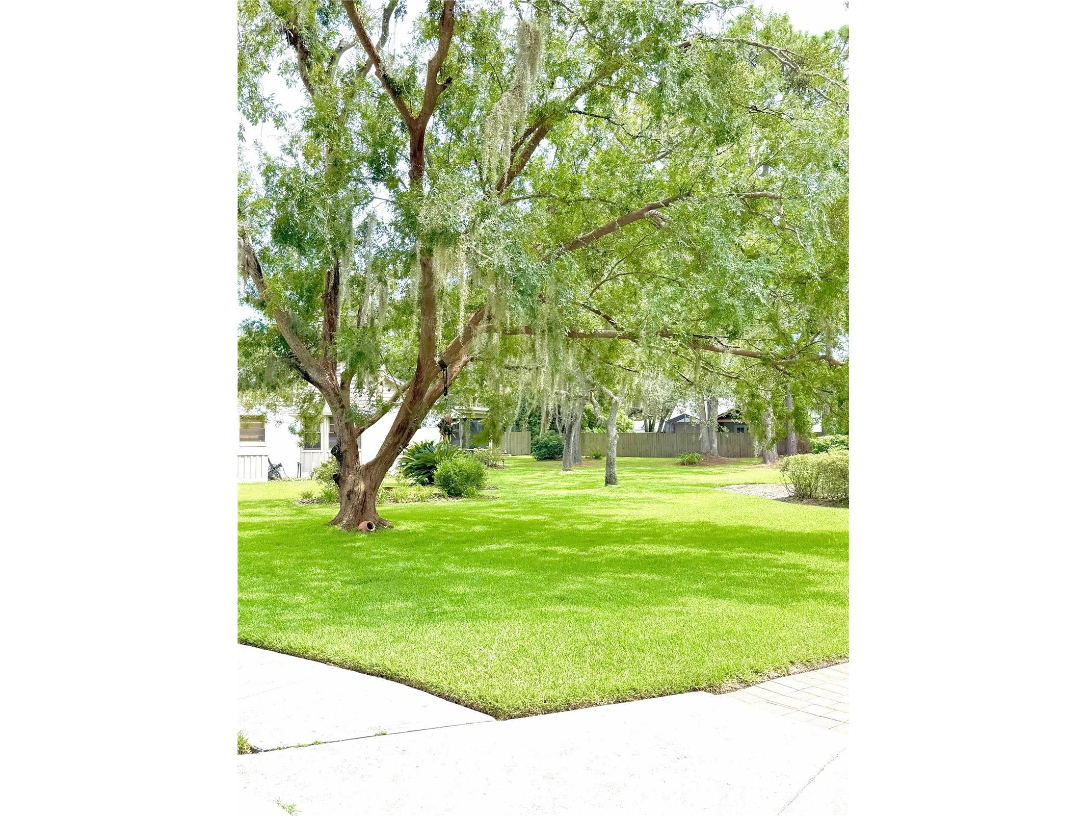 605 Water Oak Lane Longwood FL 32779 S5149703 image35