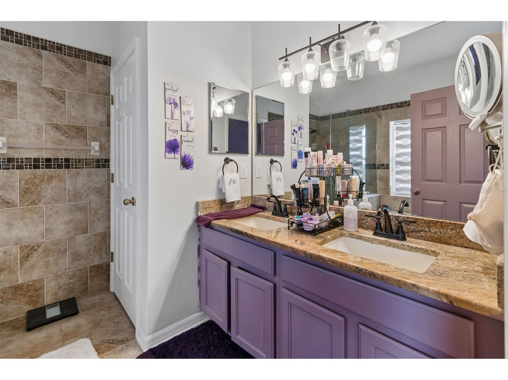 6050 Blue Sage Drive Land O Lakes FL 34639 TB8515210 image21