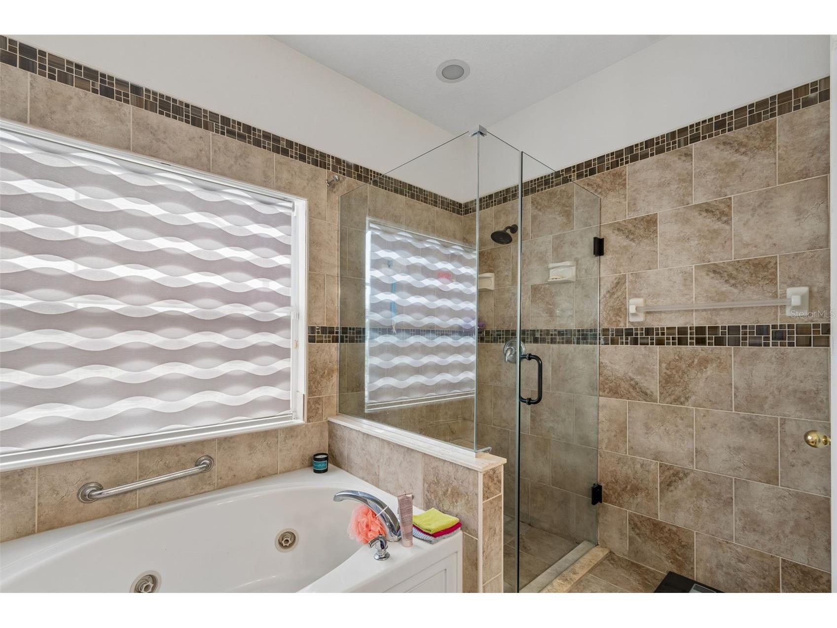 6050 Blue Sage Drive Land O Lakes FL 34639 TB8515210 image23