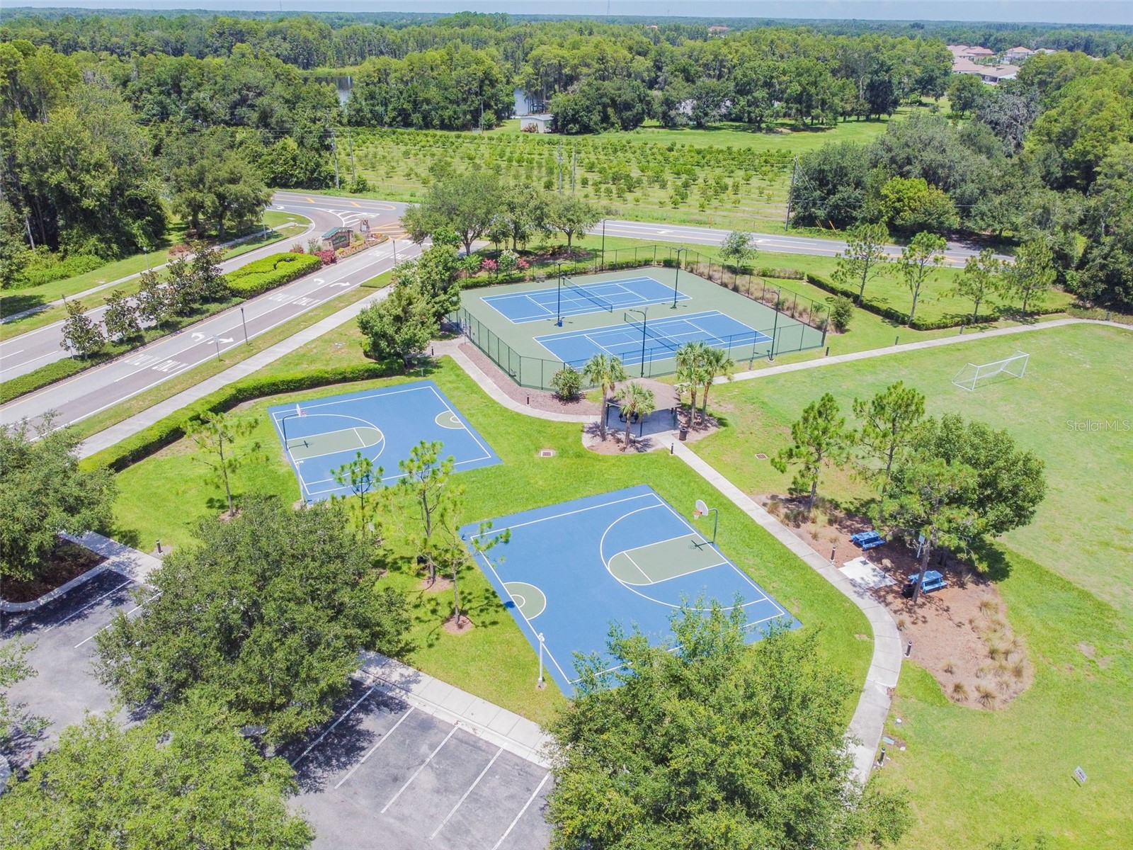 6050 Blue Sage Drive Land O Lakes FL 34639 TB8515210 image37