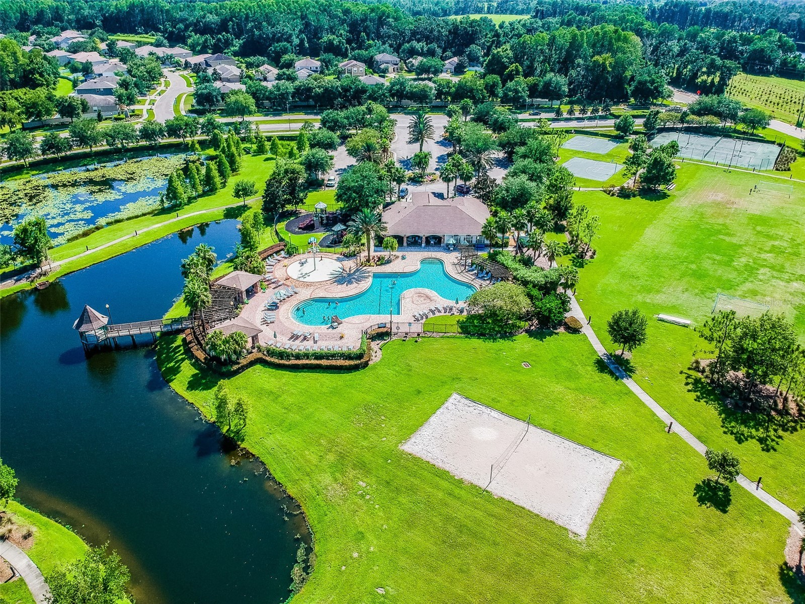 6050 Blue Sage Drive Land O Lakes FL 34639 TB8515210 image38