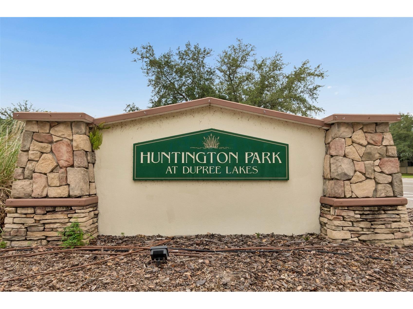 6050 Blue Sage Drive Land O Lakes FL 34639 TB8515210 image45
