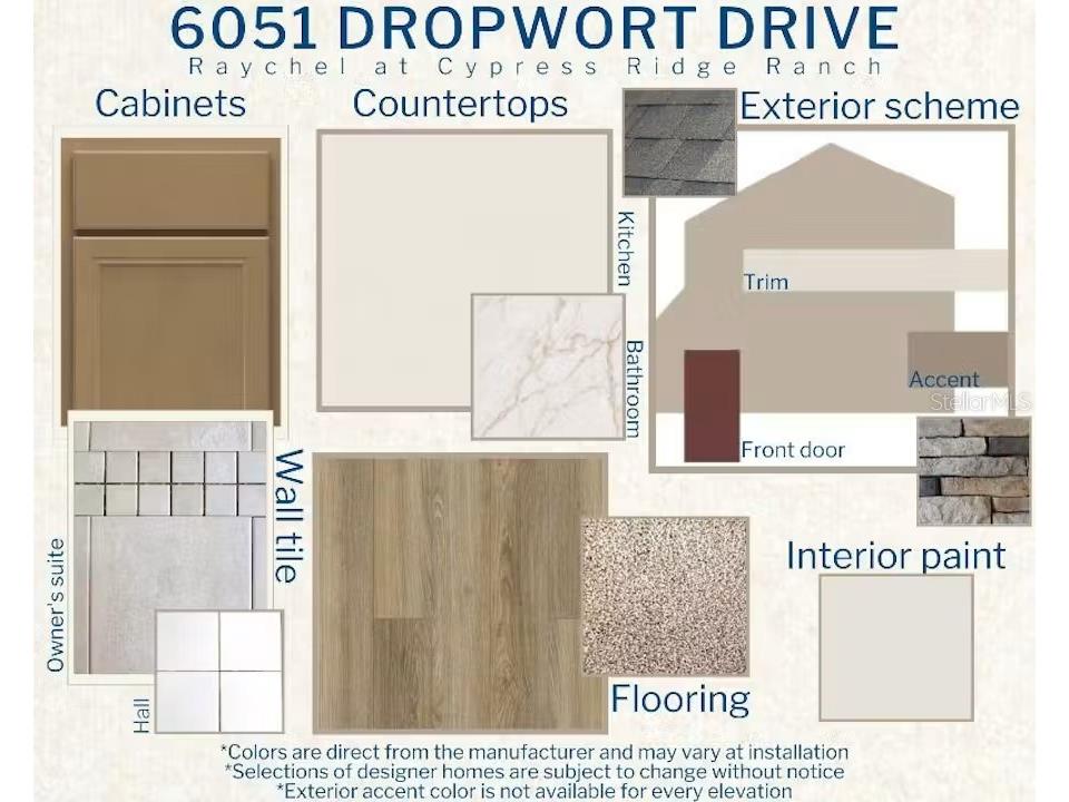 6051 Dropwort Drive Wimauma FL 33598 L4962383 image3