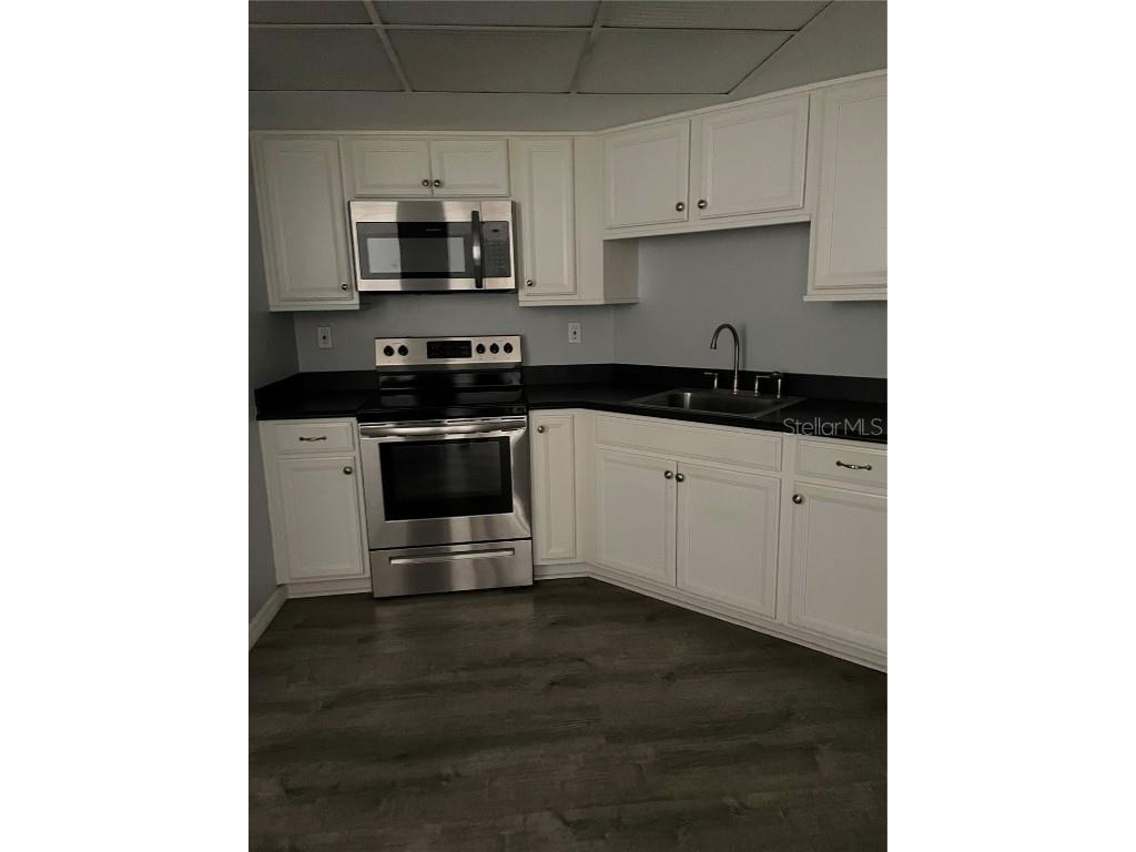 6051 Sun Boulevard #305 Saint Petersburg FL 33715 TB8328698 image7