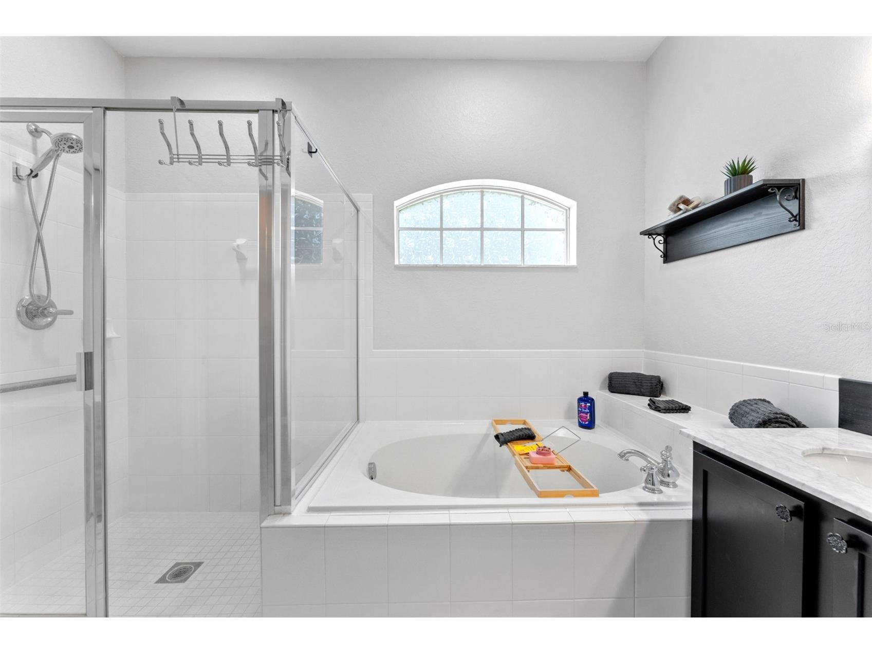 6052 Champions Gate Boulevard Zephyrhills FL 33541 - COMMUNITY POND TB8522817 image25