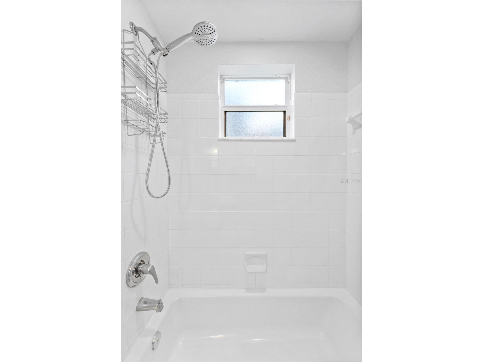 6052 Champions Gate Boulevard Zephyrhills FL 33541 - COMMUNITY POND TB8522817 image32