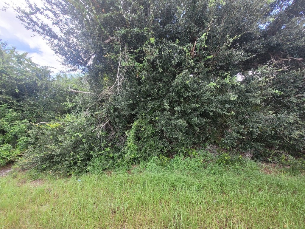 6052 Coliseum Boulevard Port Charlotte FL 33981 D6137471 image1