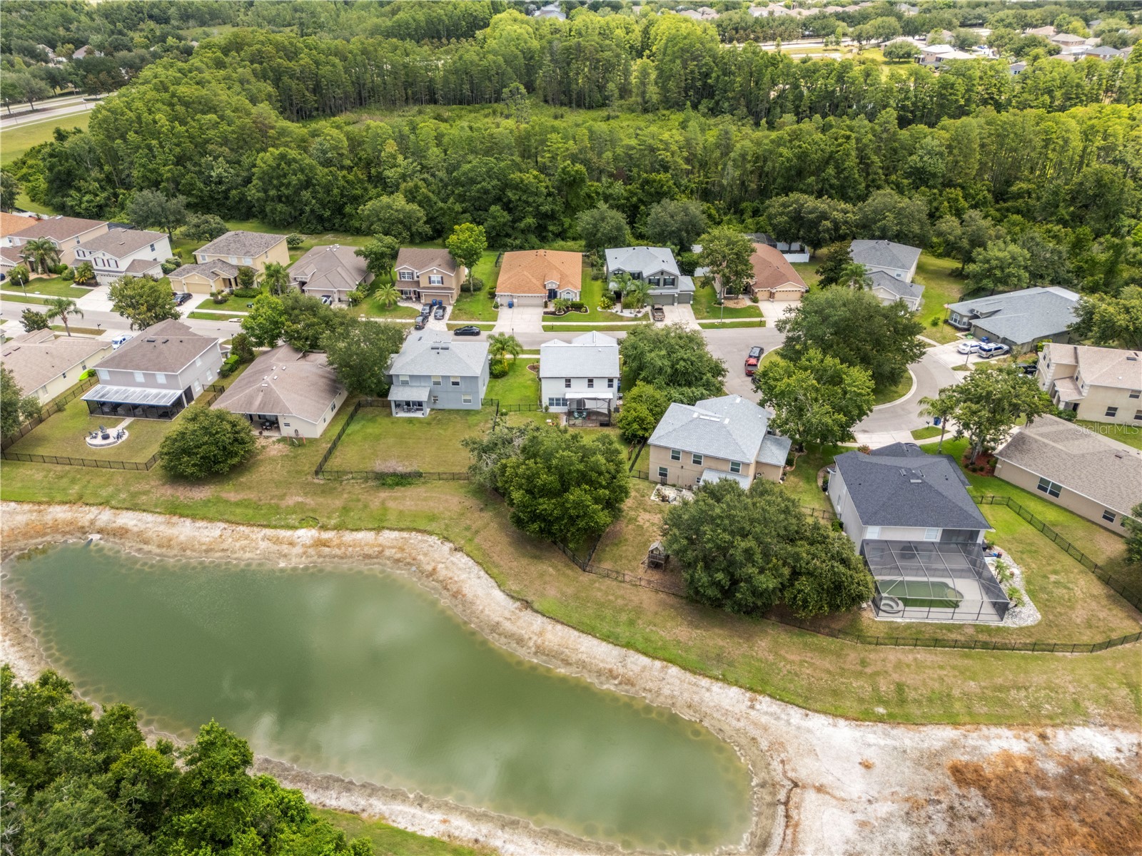 6053 Everlasting Place Land O Lakes FL 34639 TB8521644 image51