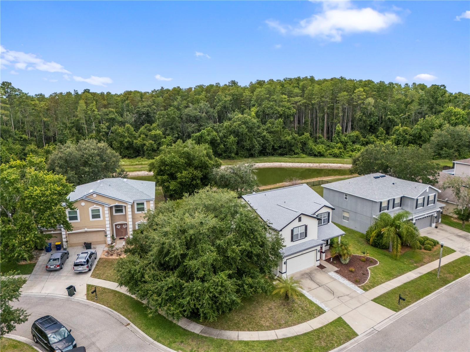 6053 Everlasting Place Land O Lakes FL 34639 TB8521644 image55