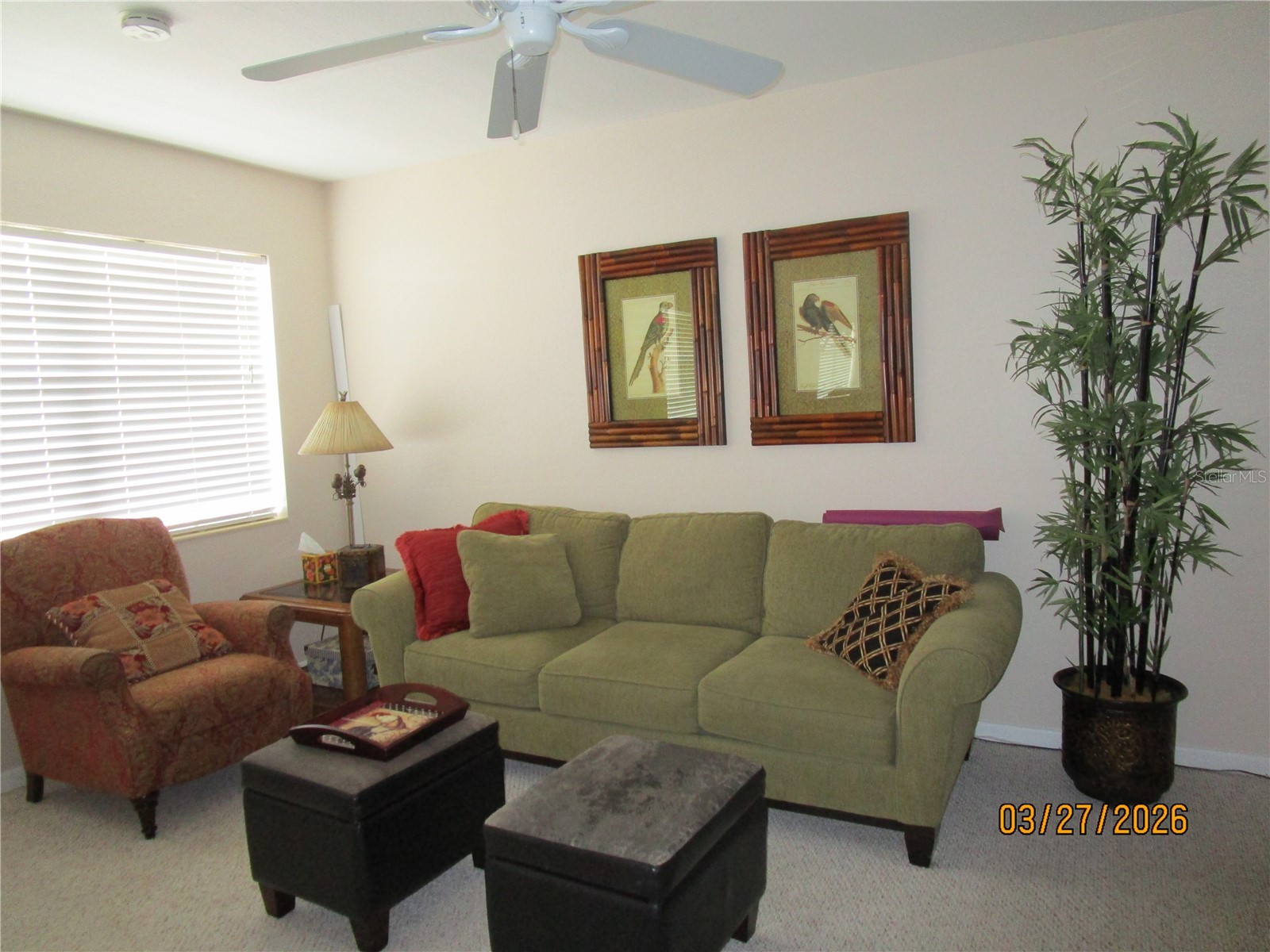 6055 21st Street N #12 Saint Petersburg FL 33714 TB8491440 image9