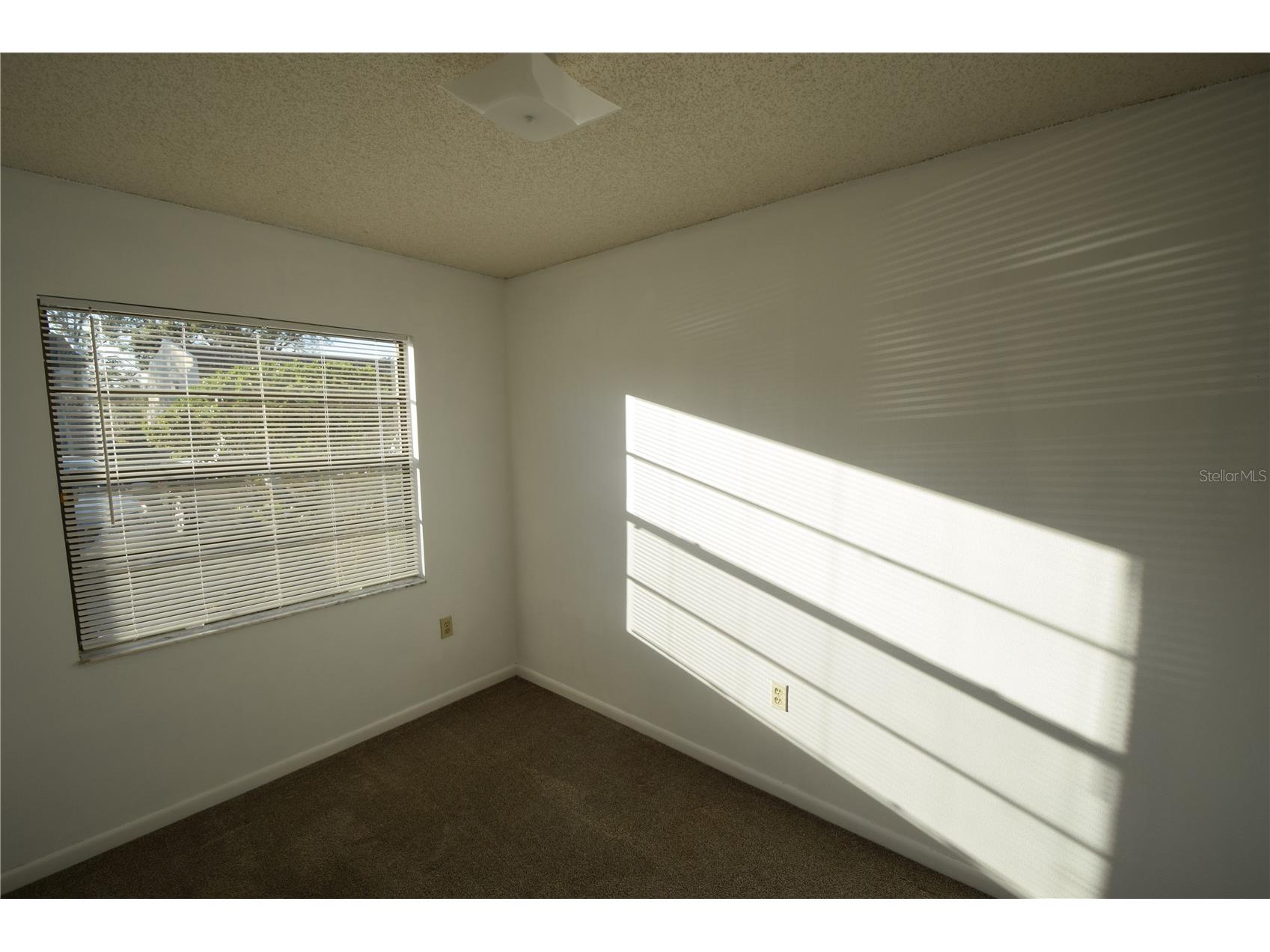 6055 Topher Trail #6055 Mulberry FL 33860 L4959420 image8