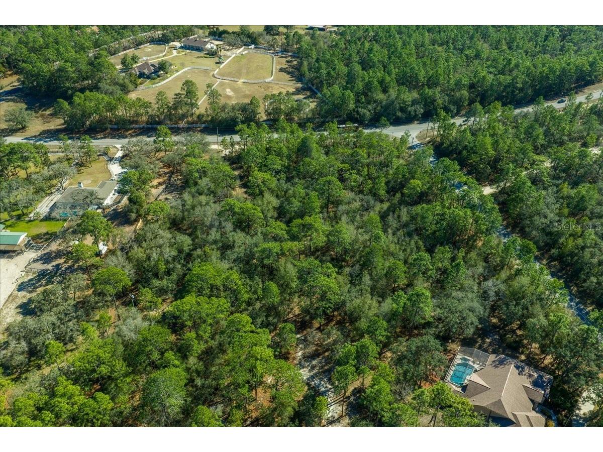 6055 W Ponderosa Place Beverly Hills FL 34465 OM717634 image11