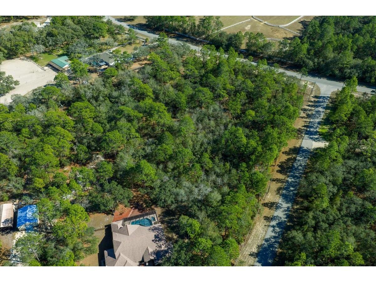 6055 W Ponderosa Place Beverly Hills FL 34465 OM717634 image14