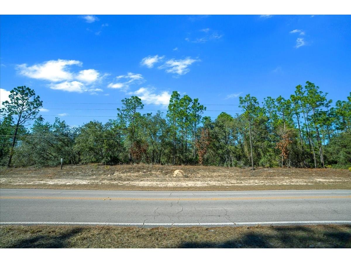 6055 W Ponderosa Place Beverly Hills FL 34465 OM717634 image17