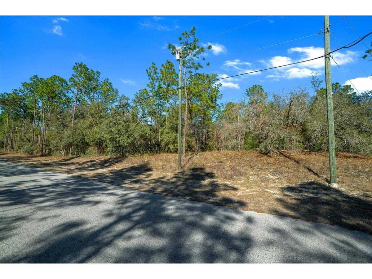 6055 W Ponderosa Place Beverly Hills FL 34465 OM717634 image20