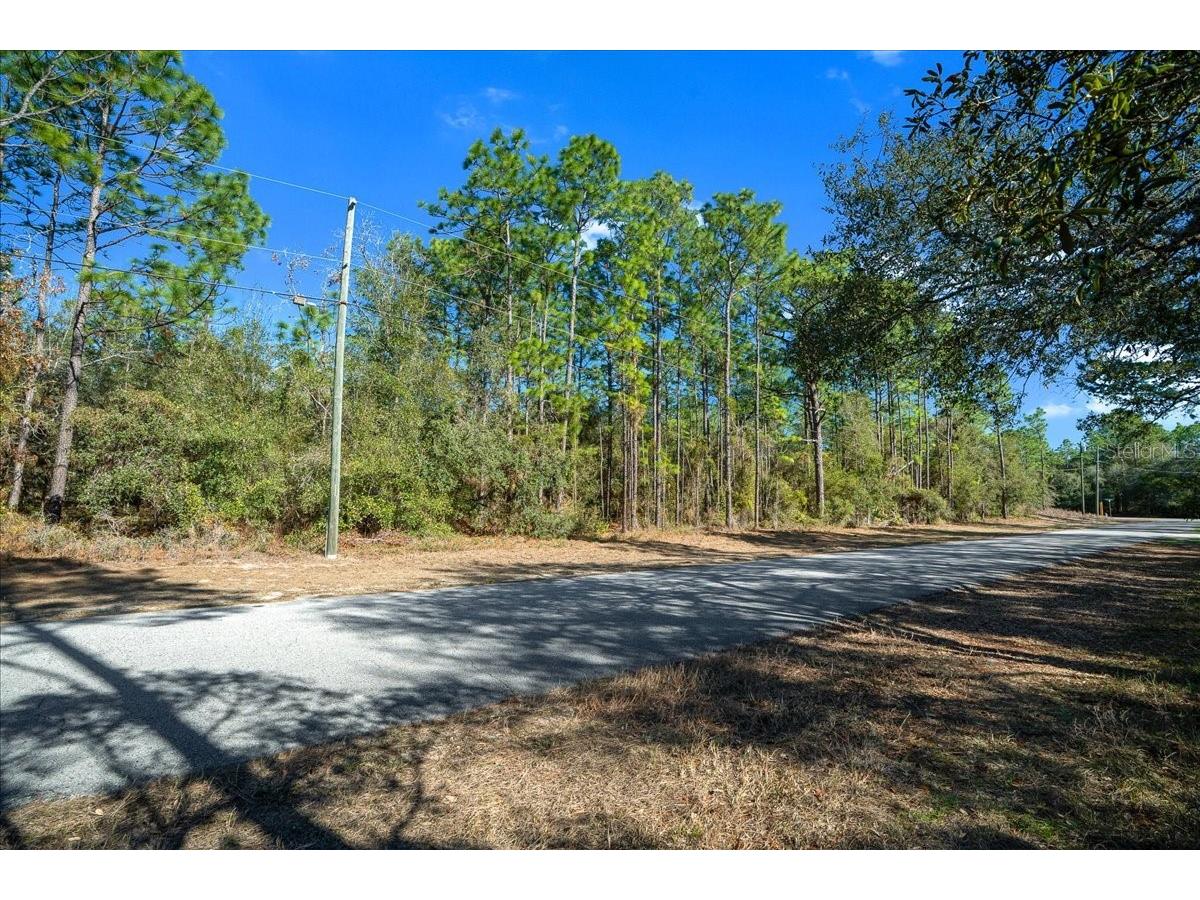 6055 W Ponderosa Place Beverly Hills FL 34465 OM717634 image22