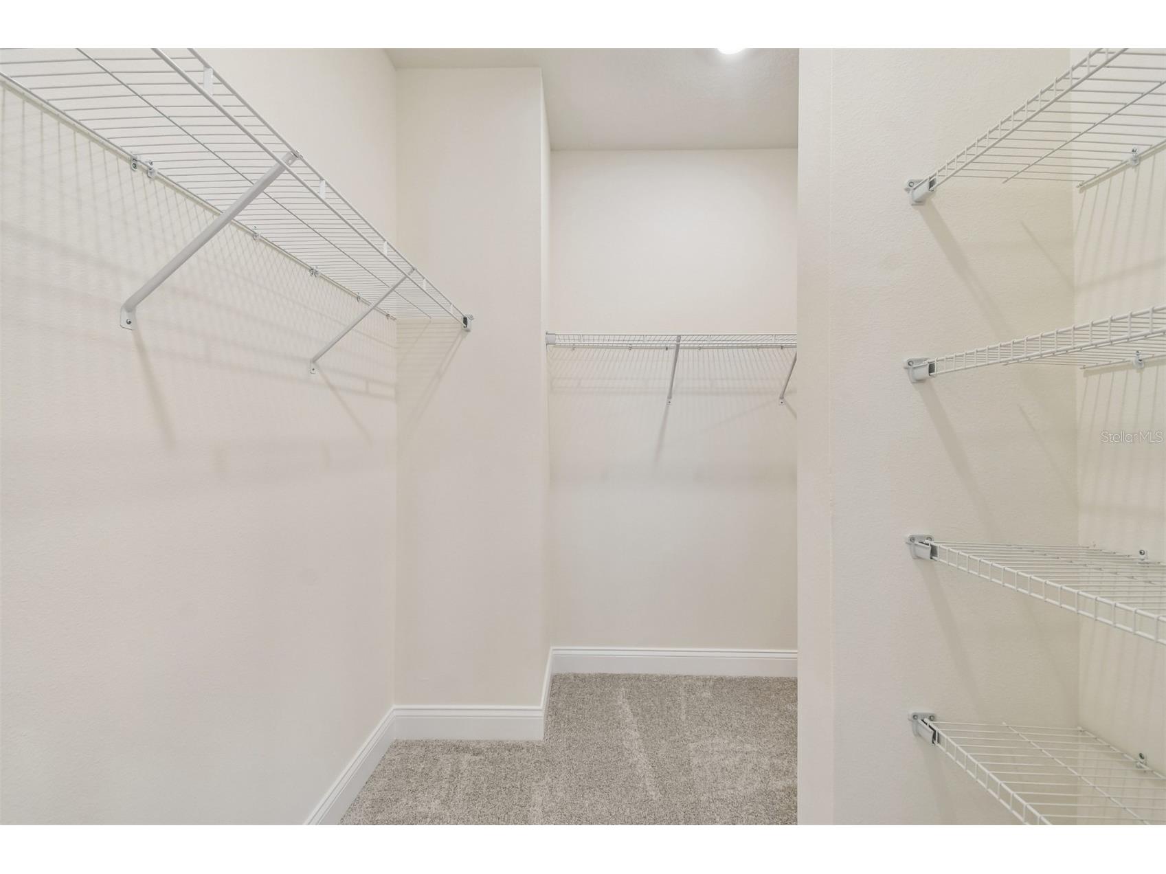 6056 Sacred Oak Avenue Mount Dora FL 32757 TB8462830 image22