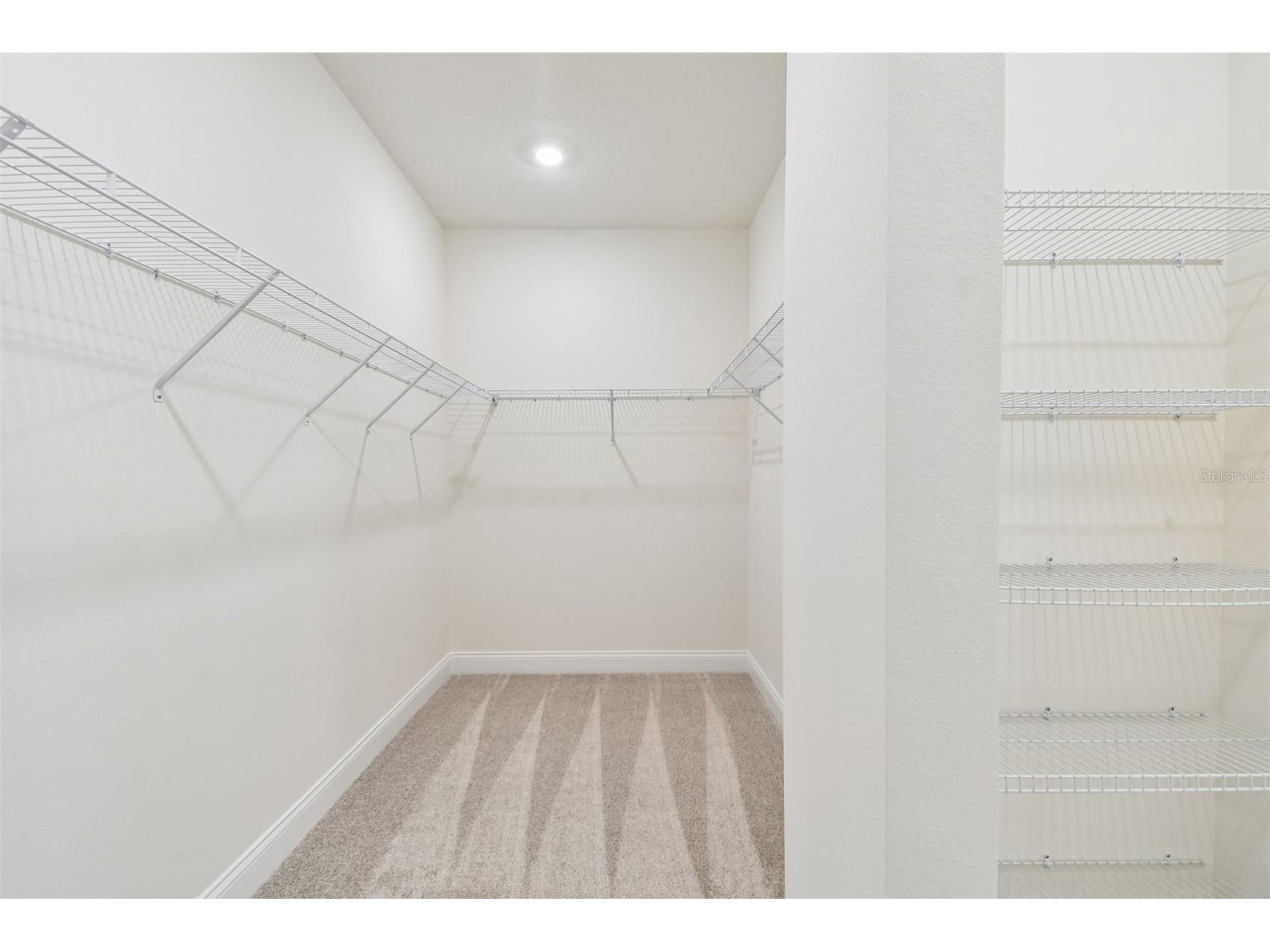 6056 Sacred Oak Avenue Mount Dora FL 32757 TB8462830 image23