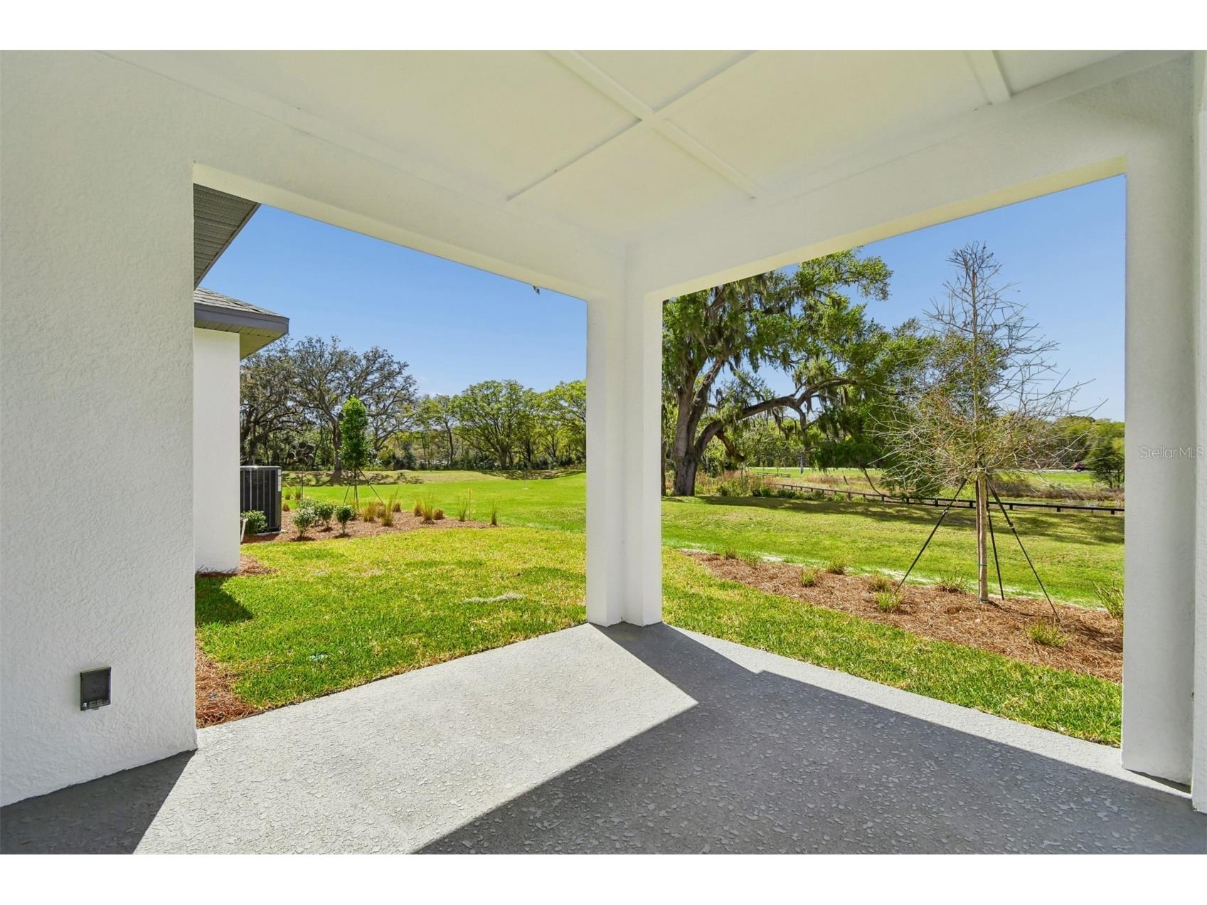 6056 Sacred Oak Avenue Mount Dora FL 32757 TB8462830 image35