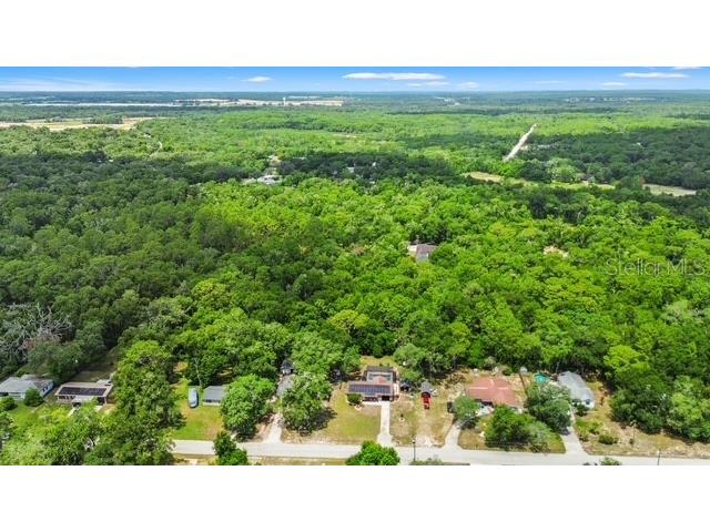 6057 Knollwood Drive Dade City FL 33523 OM726832 image17