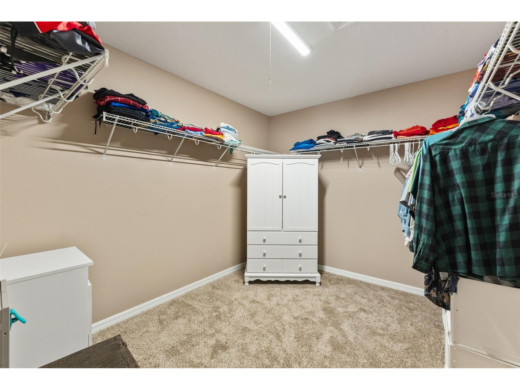 6058 Fishhawk Crossing Boulevard Lithia FL 33547 TB8480719 image30