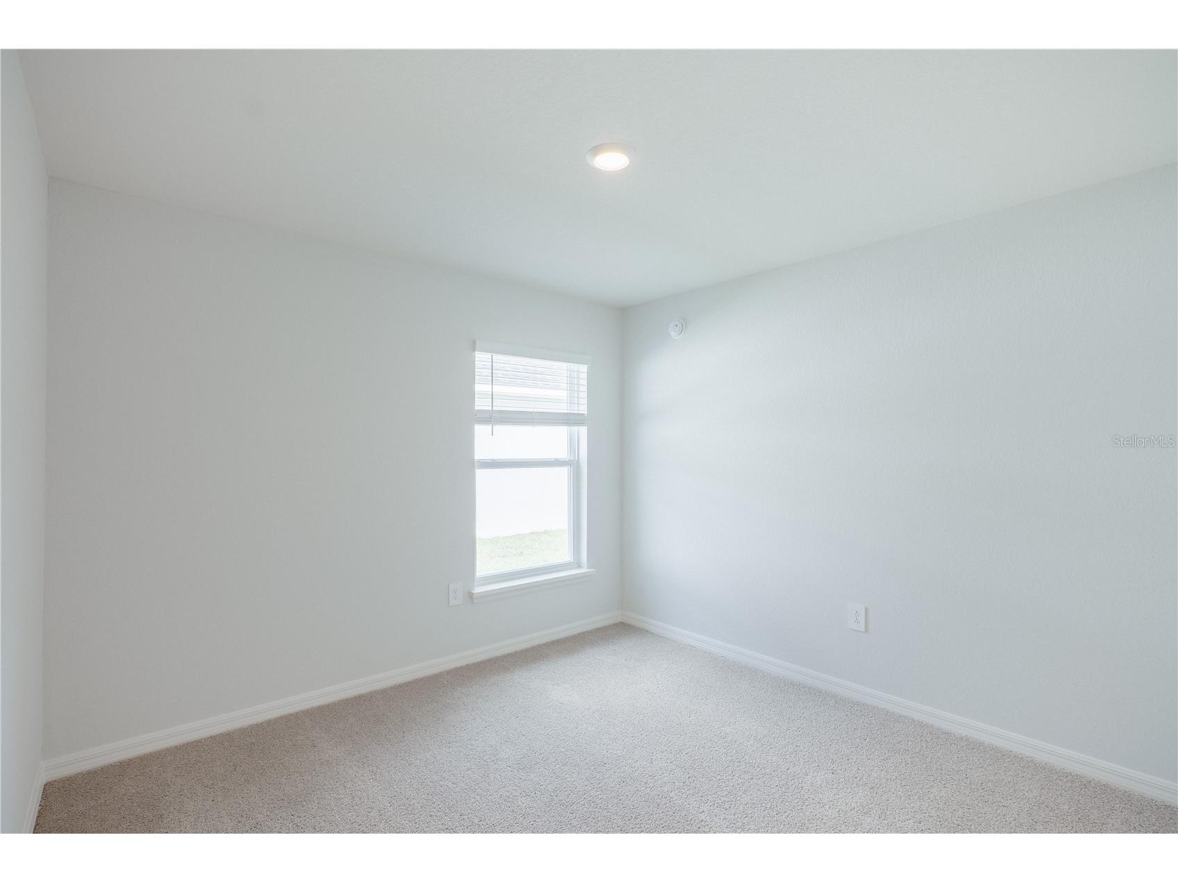 6058 Mangrove Creek Road Wimauma FL 33598 L4961385 image8