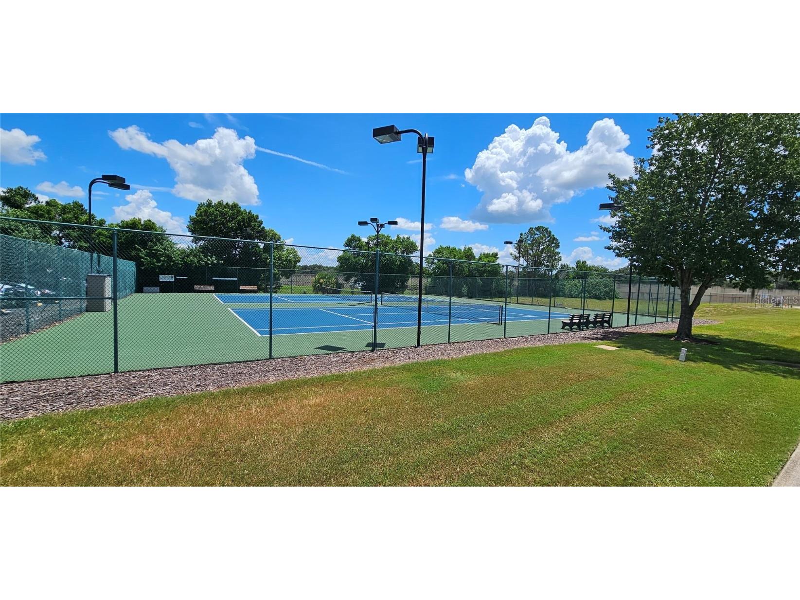 6059 Condor Drive Lakeland FL 33809 P4936073 image64